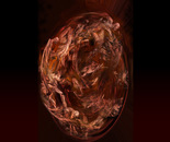 Ovulum