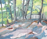 The Forest Floor