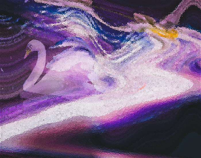 Twilight & Swan