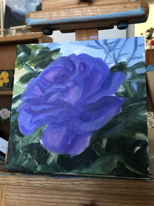 Purple rose
