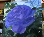 Purple rose