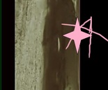 "Borghi and Astella"
