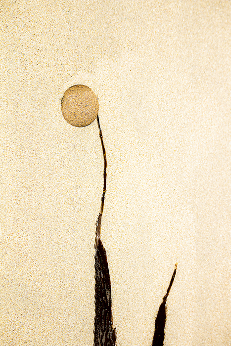 Reach For The Sun