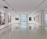 Connie's gallery