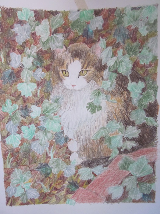 Tiger in the Junglr