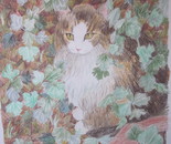 Tiger in the Junglr