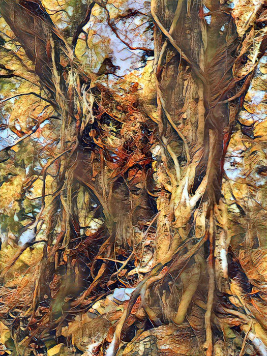 Twin Tree