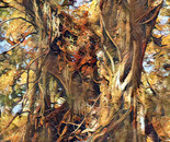 Twin Tree
