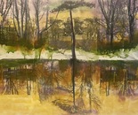 Reflections