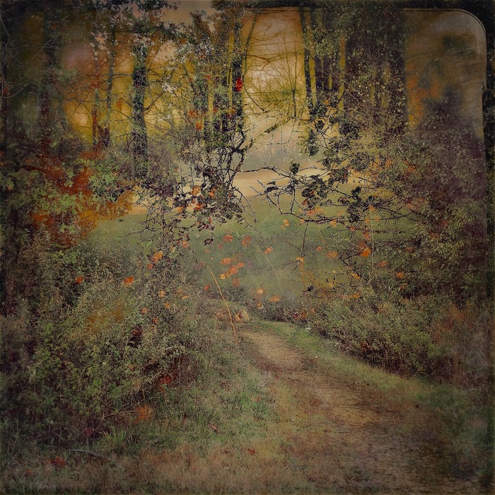path