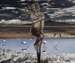 MLBH_Transcendental_Atacama