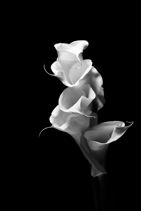 Dancing in Light
