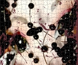 LEPOISON DANS NOS VEINES