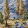Blue of the sky