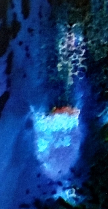 Sentimental Dive.