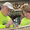 Pat & Karen Miller