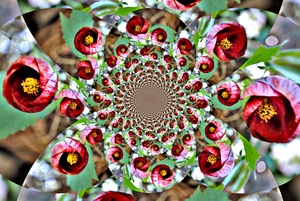 contest_entry_image