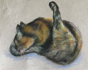 contest_entry_image