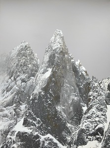 contest_entry_image