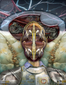 contest_entry_image