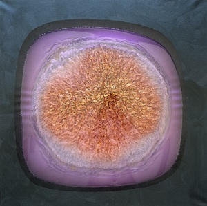 contest_entry_image