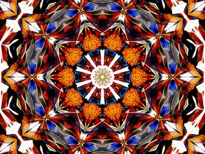 contest_entry_image