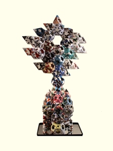contest_entry_image