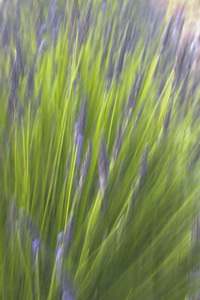 contest_entry_image