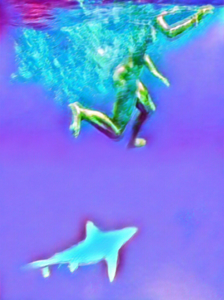 contest_entry_image