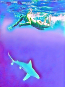 contest_entry_image