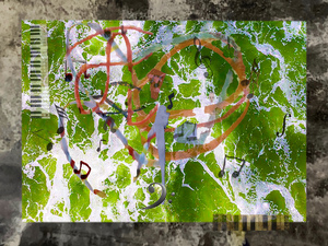 contest_entry_image