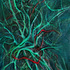 In Pathway and Choice, Materiality and Connection Series