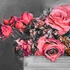 Dusty Roses
