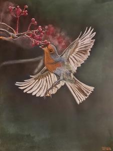 contest_entry_image