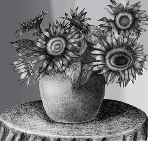 contest_entry_image