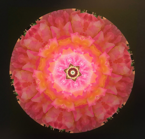 contest_entry_image