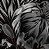 Garden Flower Abstract