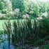 Oakland Lake