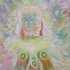 Ser Indígena 