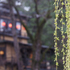 Kyoto