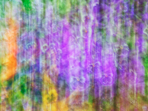 contest_entry_image