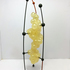 Cas12