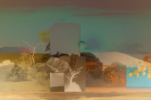 contest_entry_image