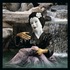 Sayuri – Japanese Culture