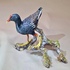 Hawaiian Gallinule