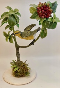 contest_entry_image