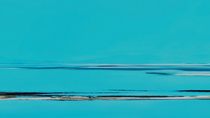 contest_entry_image