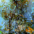 Quintessence