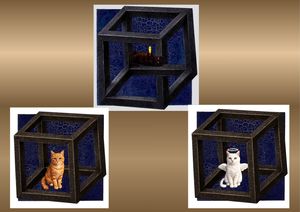 contest_entry_image