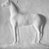 Year of the fire horse #csteckhan